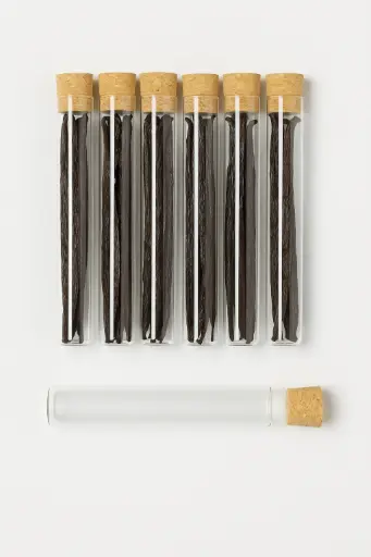 Storage tubes / Glass tubes with natural cork